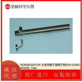 MODEL 1404NONSEQUITUR 大束流离子源离子枪